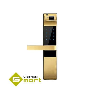 YDM 4109 Gold