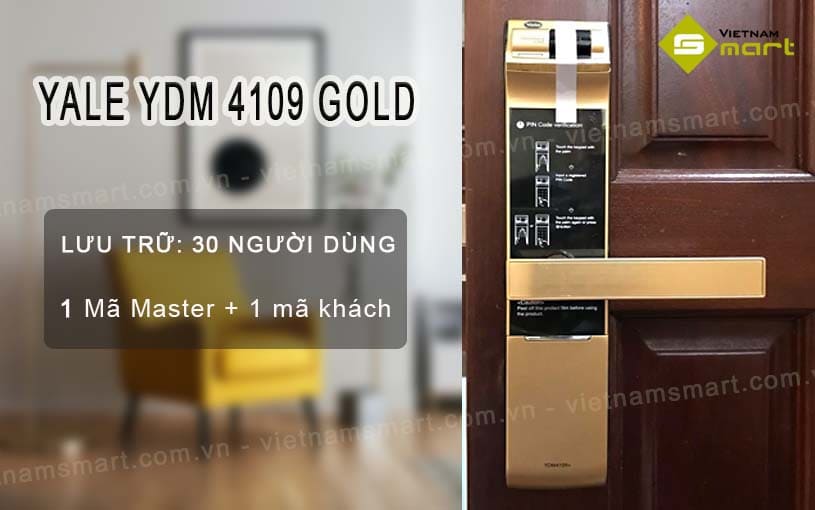YDM4109 - GOLD
