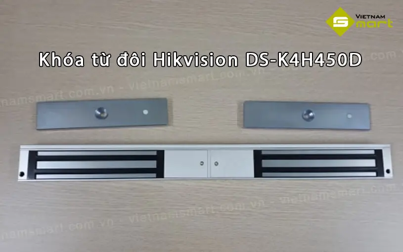 Hikvision DS-K4H450D