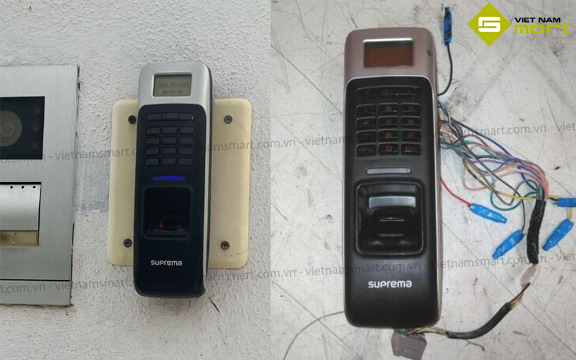 Ứng dụng thực tế của model BioLite Net