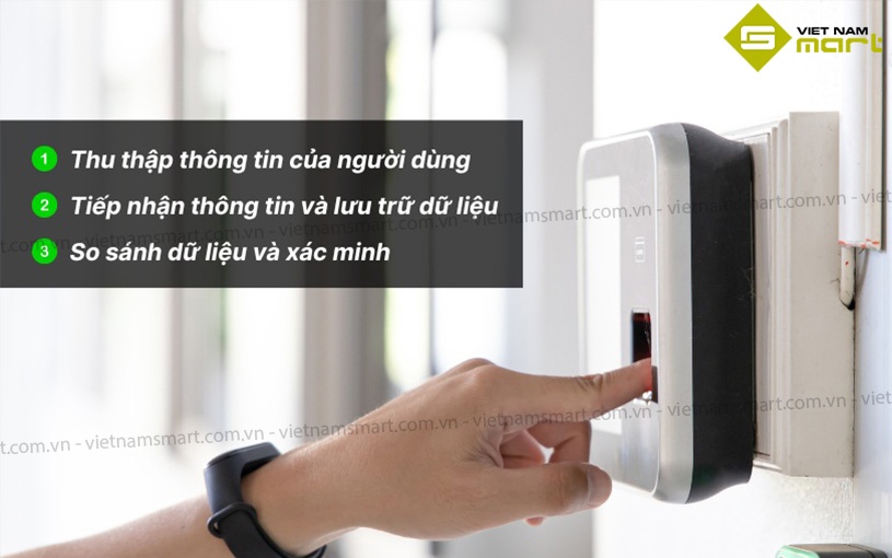 Cách thức hoạt động của máy chấm công bằng vân tay