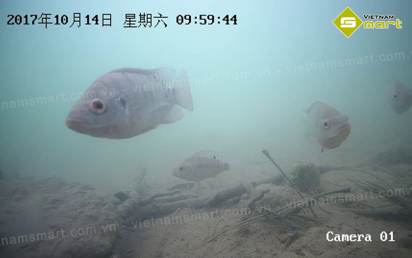 Camera dưới nước Bullet Hikvision DS-2XC6224G0-L