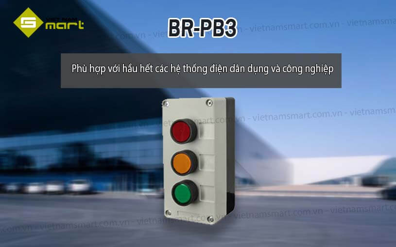 Nút nhấn Magnet BR-PB3
